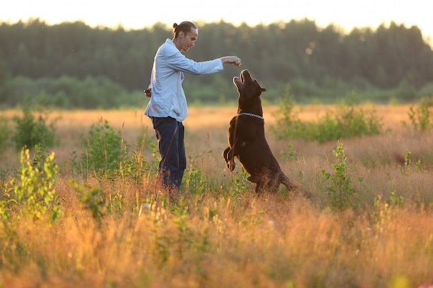 Un homme avec deux chiens marchant sur une prairie ensoleillée