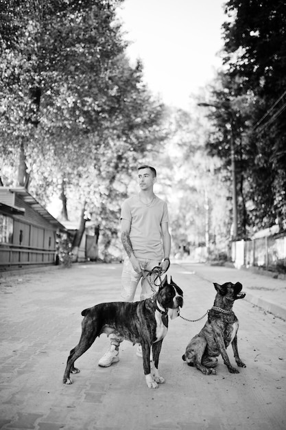 Homme avec deux chiens pit bull terrier lors d'une promenade