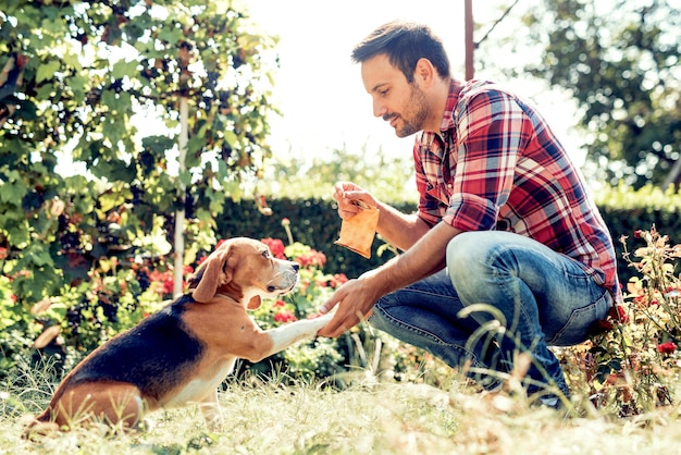 Homme dressant son chien à l'extérieur