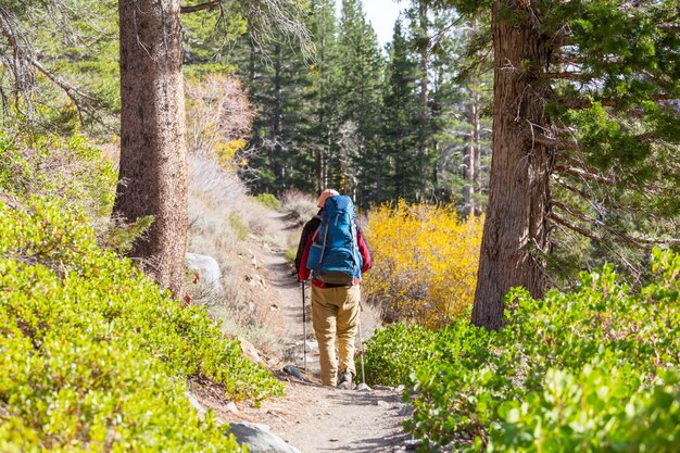 Homme avec équipement de randonnée marche dans les montagnes de la Sierra Nevada, Californie, USA