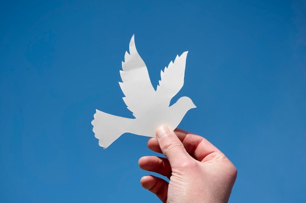 Photo l'homme est titulaire d'un pigeon de papier sur fond bleu pas de concept de guerre faire la paix