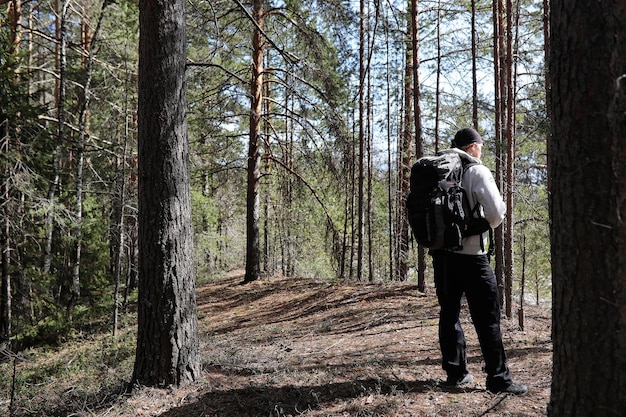 Un homme est un touriste dans une forêt de pins avec un sac à dos. Une randonnée dans la forêt. Une réserve de pins pour les promenades touristiques. Un jeune homme en randonnée au printemps.