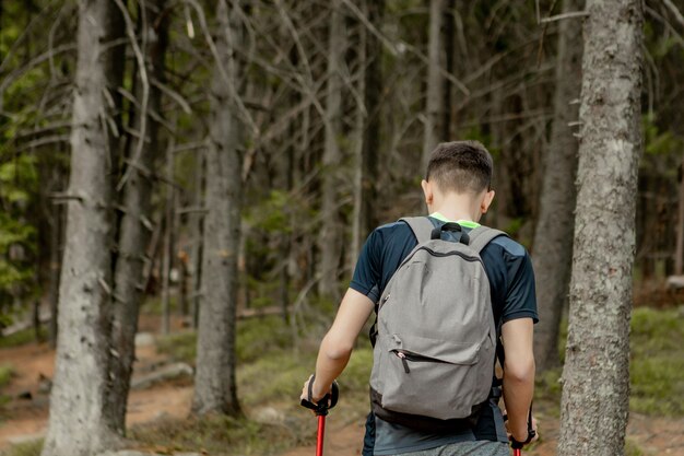 Un homme est un touriste dans une forêt de pins avec un sac à dos. Une randonnée à travers la forêt. Réserve de pins pour promenades touristiques. Un jeune homme en randonnée en été, vue arrière.