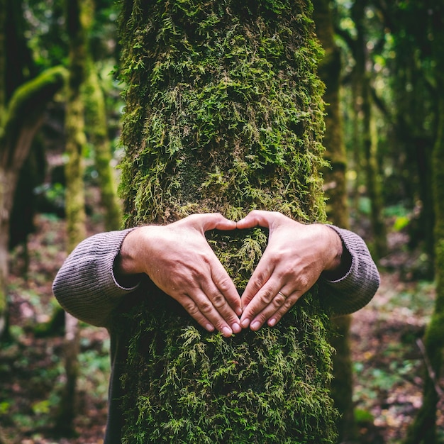Un homme étreignant un tronc d'arbre vert faisant un geste du cœur avec les mains Les gens et l'amour respectent la nature, la forêt et l'environnement style de vie L'écologiste embrasse le tronc avec du musc Arrêtez le changement climatique