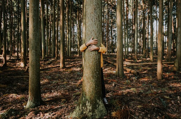 Homme, étreindre, arbre, écorce