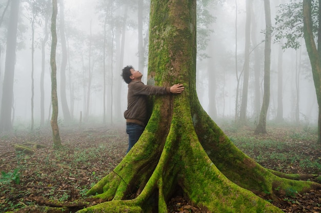 L'homme explore l'arbre de la nature dans la forêt