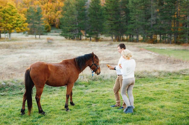 L'homme et la femme nourrissent les carottes au cheval brun dans la forêt d'automne