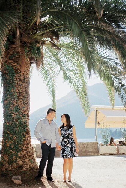 L'homme et la femme se tiennent sous un grand palmier sur le talus