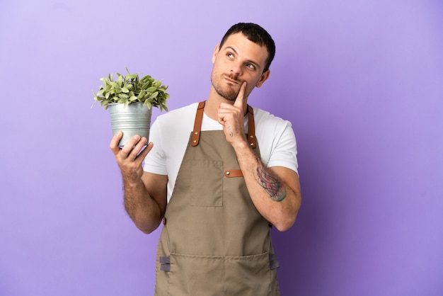 Homme jardinier brésilien tenant une plante sur fond violet isolé en pensant à une idée tout en levant