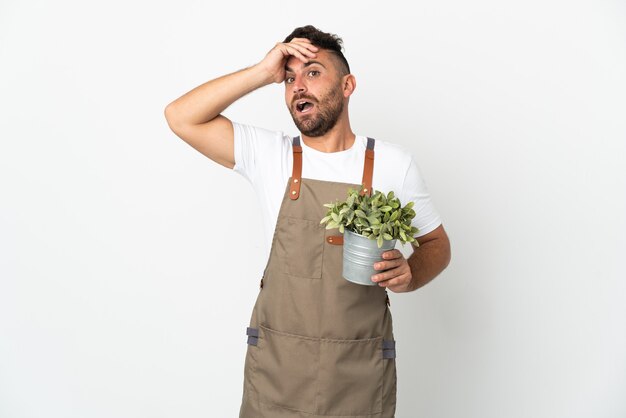 Homme jardinier tenant une plante sur fond blanc isolé faisant un geste de surprise tout en regardant sur le côté