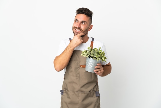 Homme jardinier tenant une plante sur fond blanc isolé en levant tout en souriant