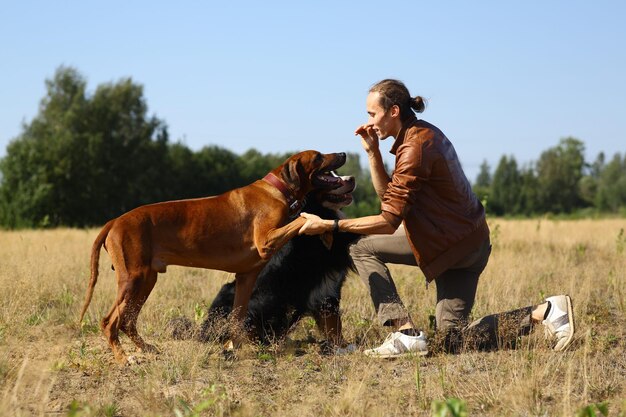 Un homme jouant avec des chiens alors qu'il se tient sur un terrain herbeux contre le ciel