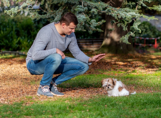 homme jouant avec shih tzu puppy outdoors, dressage de chiens dans le parc