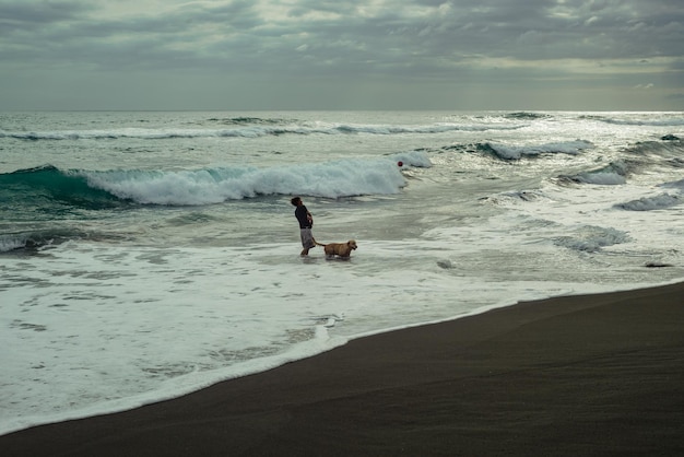 Homme jouant avec son chien à la plage. Ciel nuageux sur la plage mexicaine