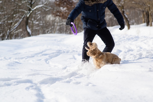 Homme, jouer, chien, neige, forêt