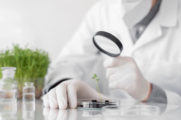 Photo l'homme en laboratoire faisant des expériences gros plan sur germination