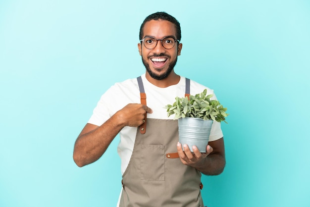 Homme latin jardinier tenant une plante isolée sur fond bleu avec une expression faciale surprise