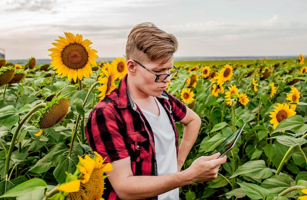 Homme avec des lunettes et une tablette dans le champ de tournesol