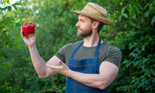 Homme marchand de légumes au chapeau de paille présentant le poivron