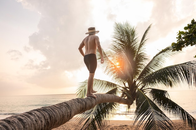 Homme marchant sur un cocotier incliné