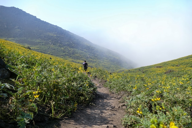 homme marchant dans le paysage fleuri d'une vallée montagneuse