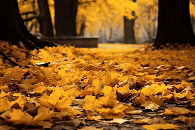 Un homme marche dans une forêt aux feuilles jaunes.