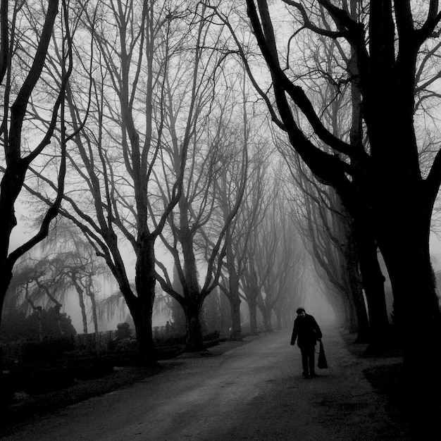 Photo un homme marche dans la rue au milieu des arbres de silhouette dans le parc.