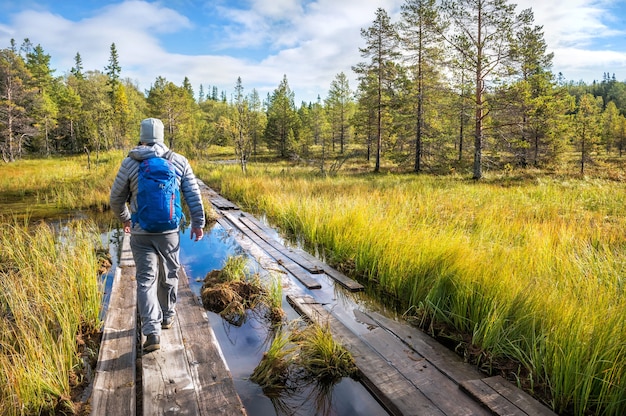 Un homme marche le long d'une route faite de planches de bois à travers un marais sur l'île Anzer (îles Solovetsky) dans les rayons du soleil d'automne