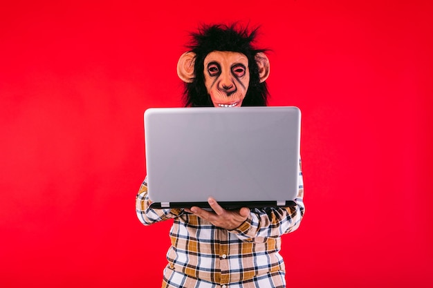 Photo homme avec masque de singe chimpanzé et chemise à carreaux travaillant avec un ordinateur portable sur fond rouge
