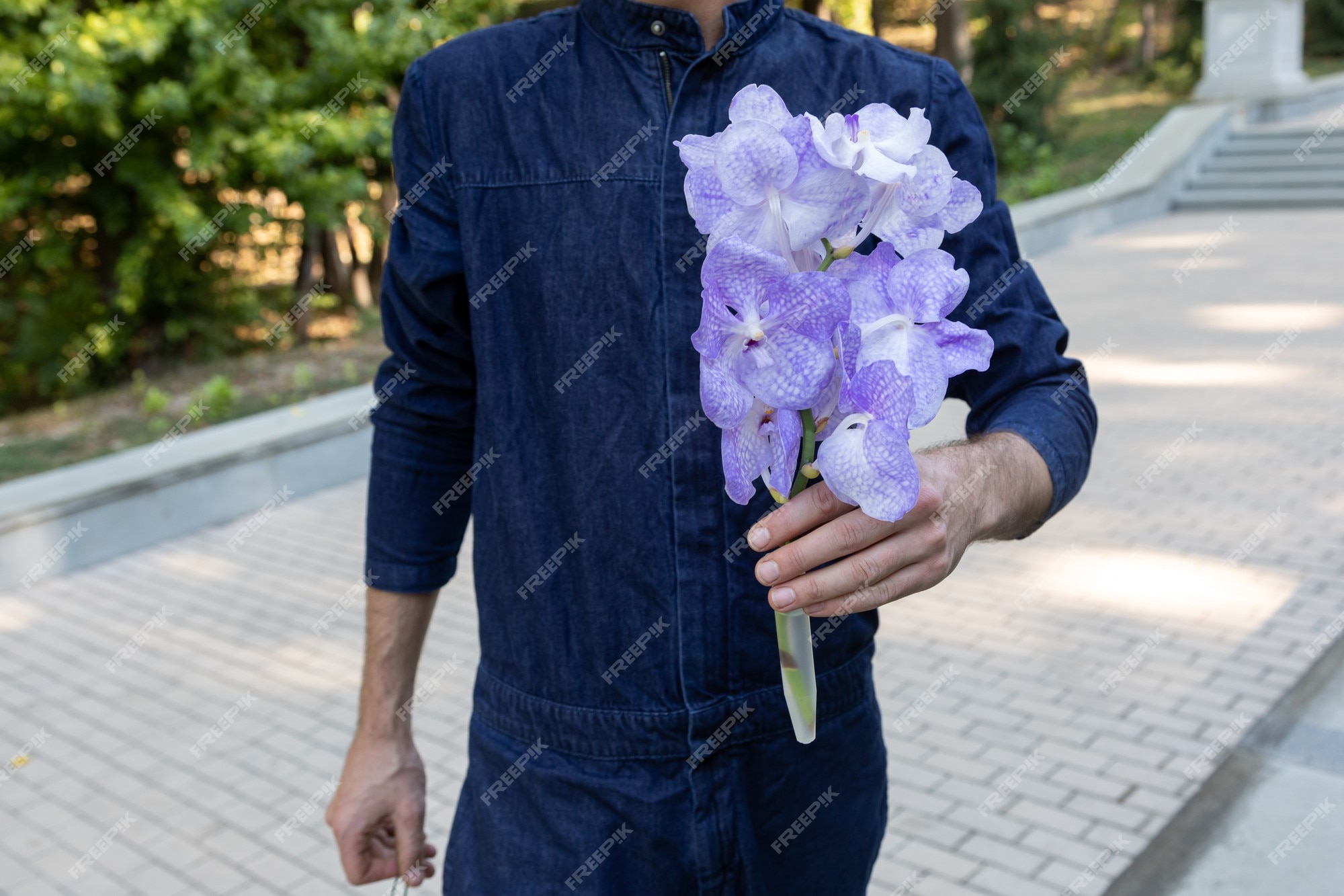 Un Homme Méconnaissable Porte Un Bouquet D'orchidées Vanda Coerulea Dans La  Rue Le Jour De L'été. Cadeau Pour Rendez-vous Romantique | Photo Premium