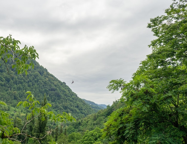 Un homme monte sur un câble au-dessus de la forêt