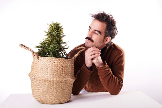 Homme avec moustache regarde une plante de cannabis sur fond blanc