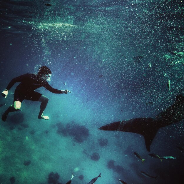 Photo un homme nageant dans la mer.