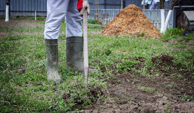 Un homme nettoie les mauvaises herbes dans le jardin Nettoyage de printemps sur la mise au point sélective de la ferme