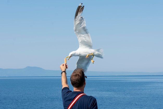 Un homme nourrissant une mouette par une journée ensoleillée