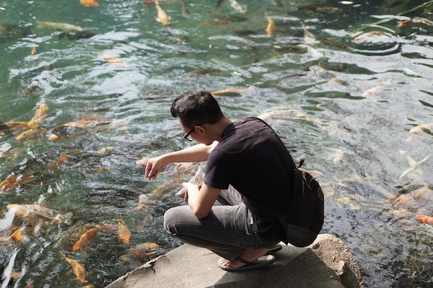 Un homme nourrissant des poissons koi dans un étang