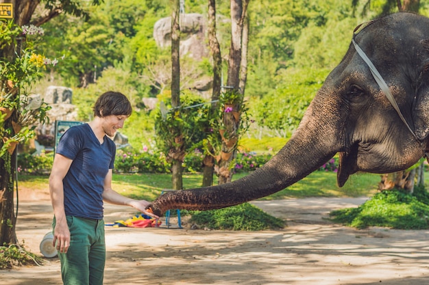 L'homme nourrit l'éléphant sous les tropiques