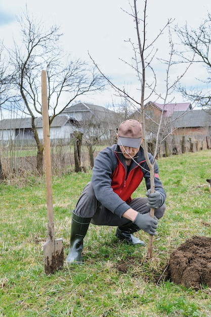 Homme plantant un arbre.