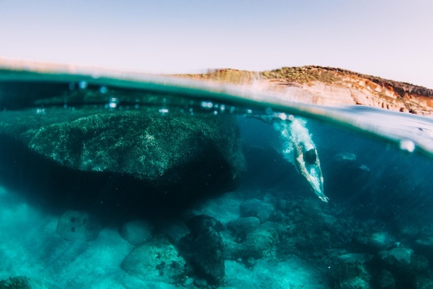 Photo un homme plonge dans la mer aux îles canaries