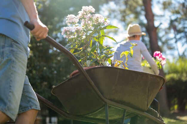 Homme poussant une brouette dans le jardin