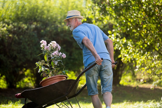 Homme poussant une brouette dans le jardin