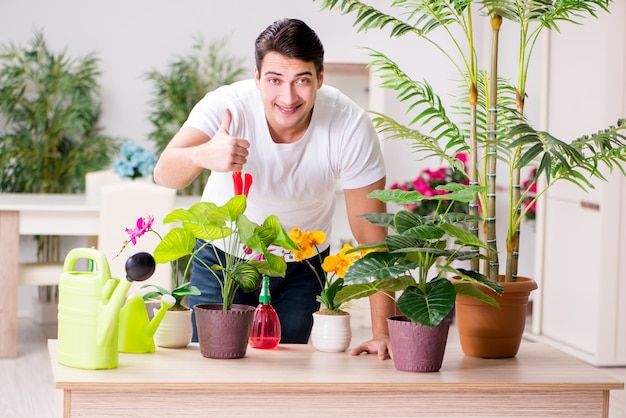 Homme prenant soin des plantes à la maison