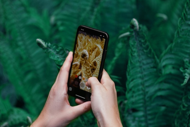 Photo l'homme prend la fougère verte au téléphone