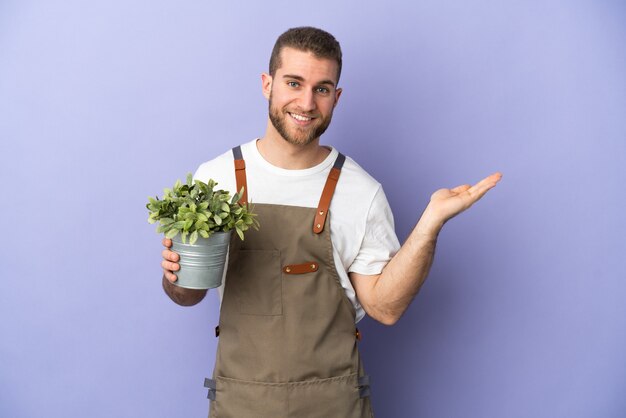 Homme de race blanche jardinier tenant une plante isolée sur jaune s'étendant les mains sur le côté pour inviter à venir