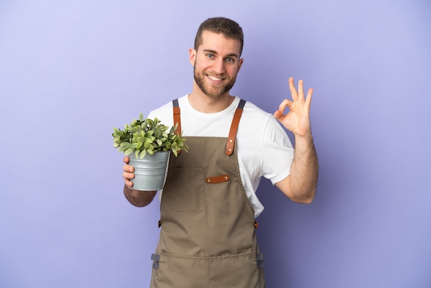 Homme de race blanche jardinier tenant une plante isolée sur un mur jaune montrant signe ok avec les doigts