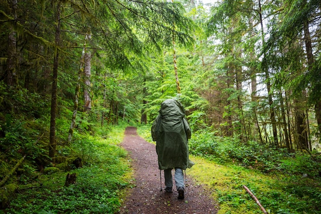 Homme randonnée baie le sentier dans la forêt.