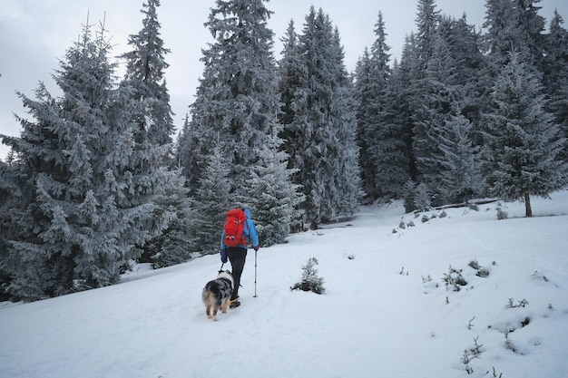 Homme randonnée avec chien dans la belle forêt d'hiver en montagne