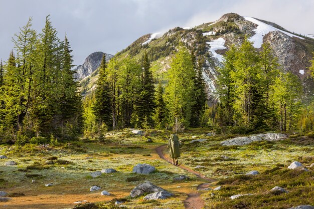 Homme de randonnée dans les montagnes canadiennes.