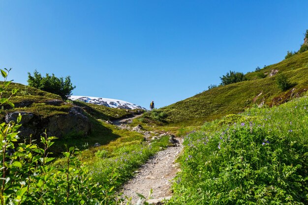 Homme de randonnée dans les montagnes