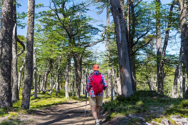 Homme en randonnée dans la région des volcans (Araucanie) au Chili, en Amérique du Sud